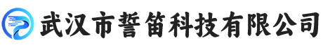 武汉市誓笛科技有限公司